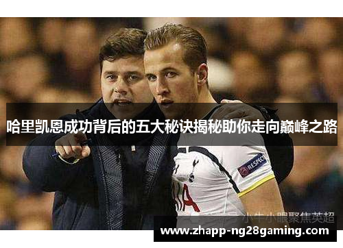 哈里凯恩成功背后的五大秘诀揭秘助你走向巅峰之路